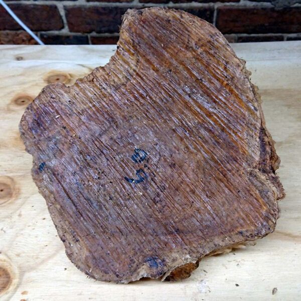 Bimble Box Burr - Image 5