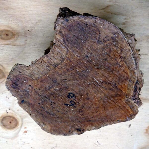 Bimble Box Burr - Image 6