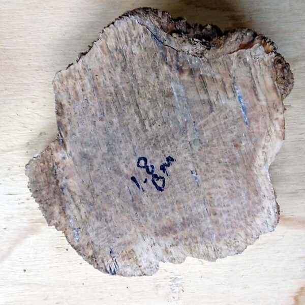 Brown Mallee Burr - Image 4