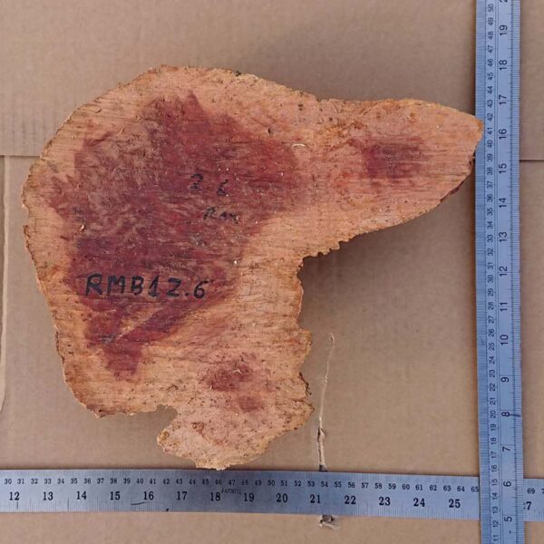 Red Mallee Burr - Image 3