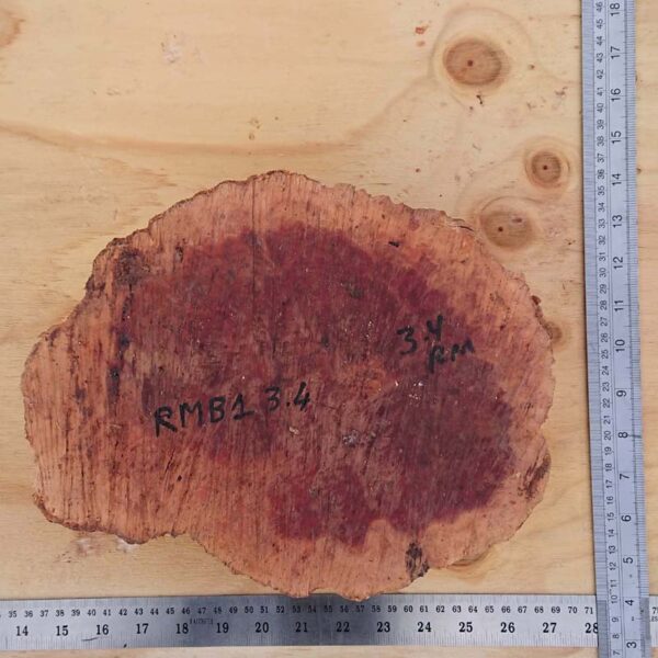 Red Mallee Burr - Image 4